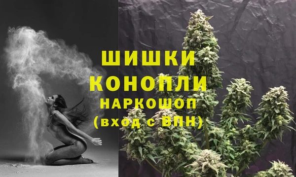 гидропоника Иннополис
