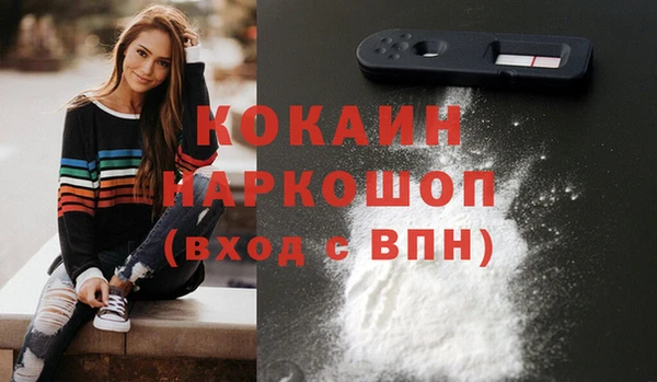 гашик Каменногорск