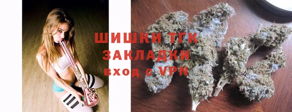 гашик Каменногорск